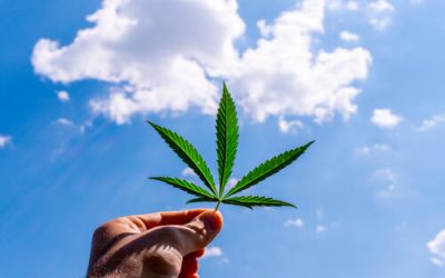 500,000 Patients: Florida Medical Marijuana Program Reaches Major Milestone