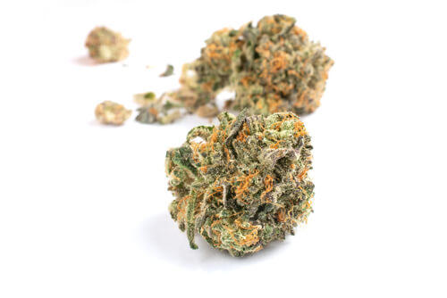 Klutch’s Whip It Medical Marijuana Strain Hits All The Right Notes With Ohio Patients