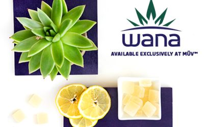 DocMJ Talks Edibles with MÜV