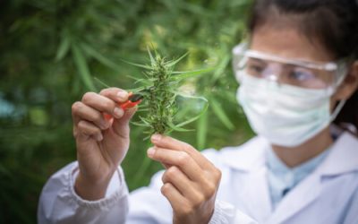 These Are Some of the Most Influential Women In Cannabis
