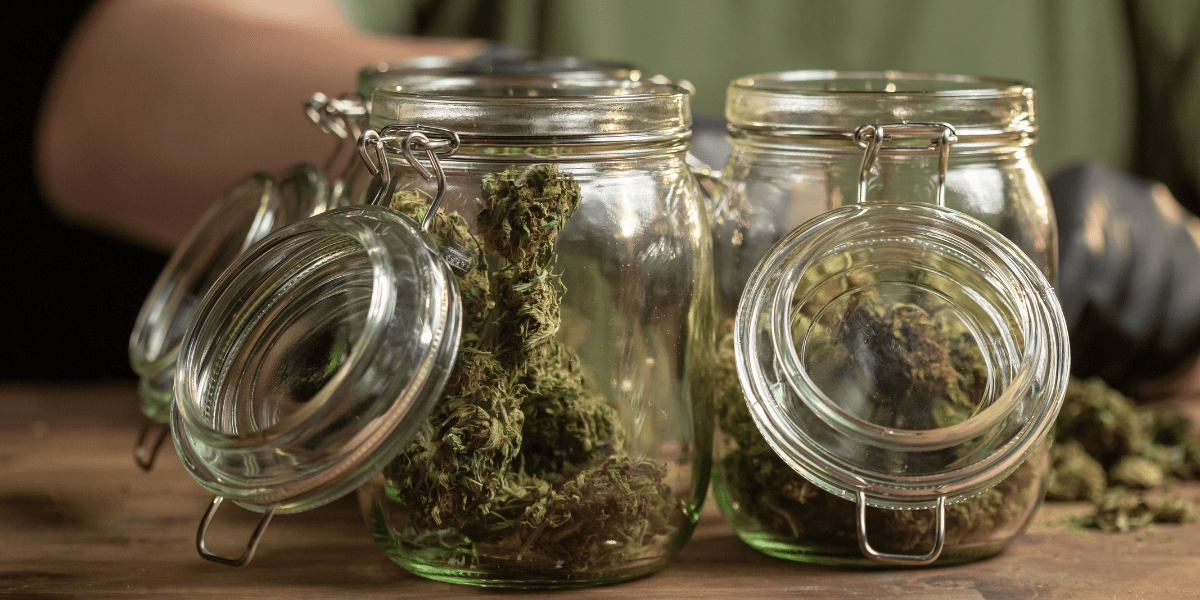 gorilla glue jars