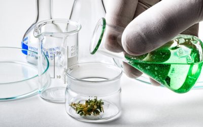5 Medical Cannabis Health Benefits Backed By Science