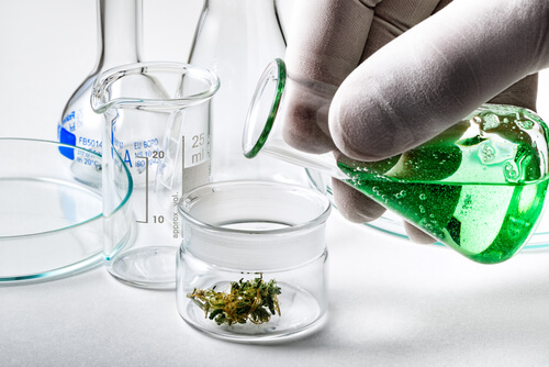 5 Medical Cannabis Health Benefits Backed By Science