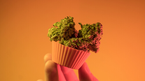 Ohio Medical Marijuana: All About Cake Strains