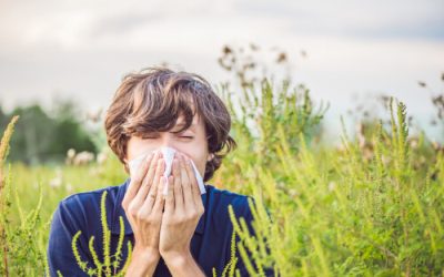 Can Medical Cannabis Alleviate Seasonal Allergies?
