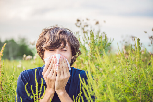 Can Medical Cannabis Alleviate Seasonal Allergies?