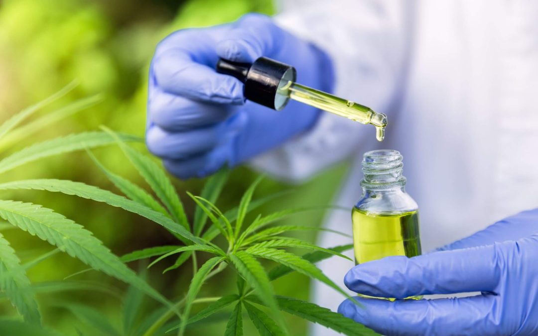 Medical Use of Cannabinoids