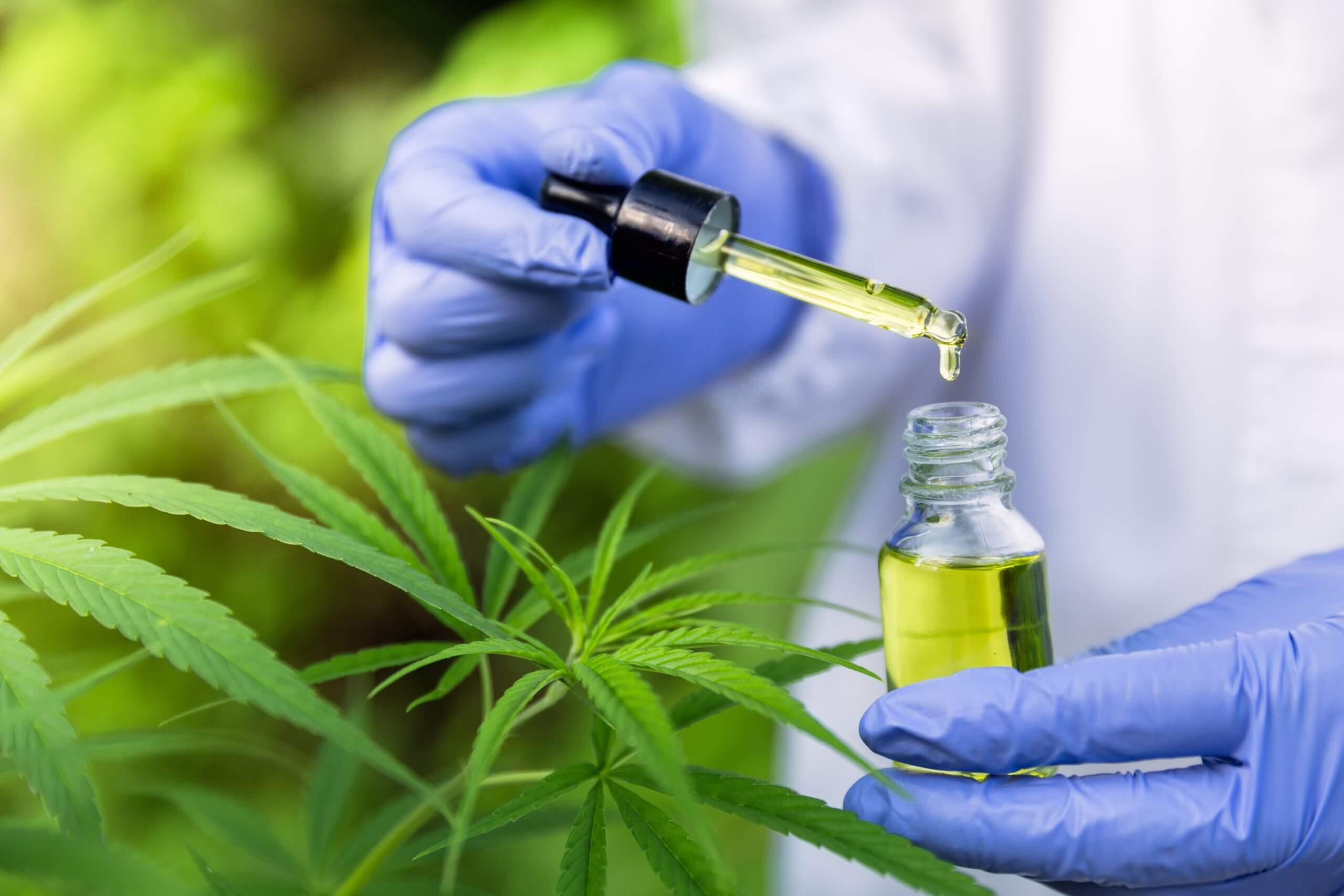 Medical Use of Cannabinoids