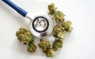 The True Difference Between Indica and Sativa Strains of Medicinal Marijuana