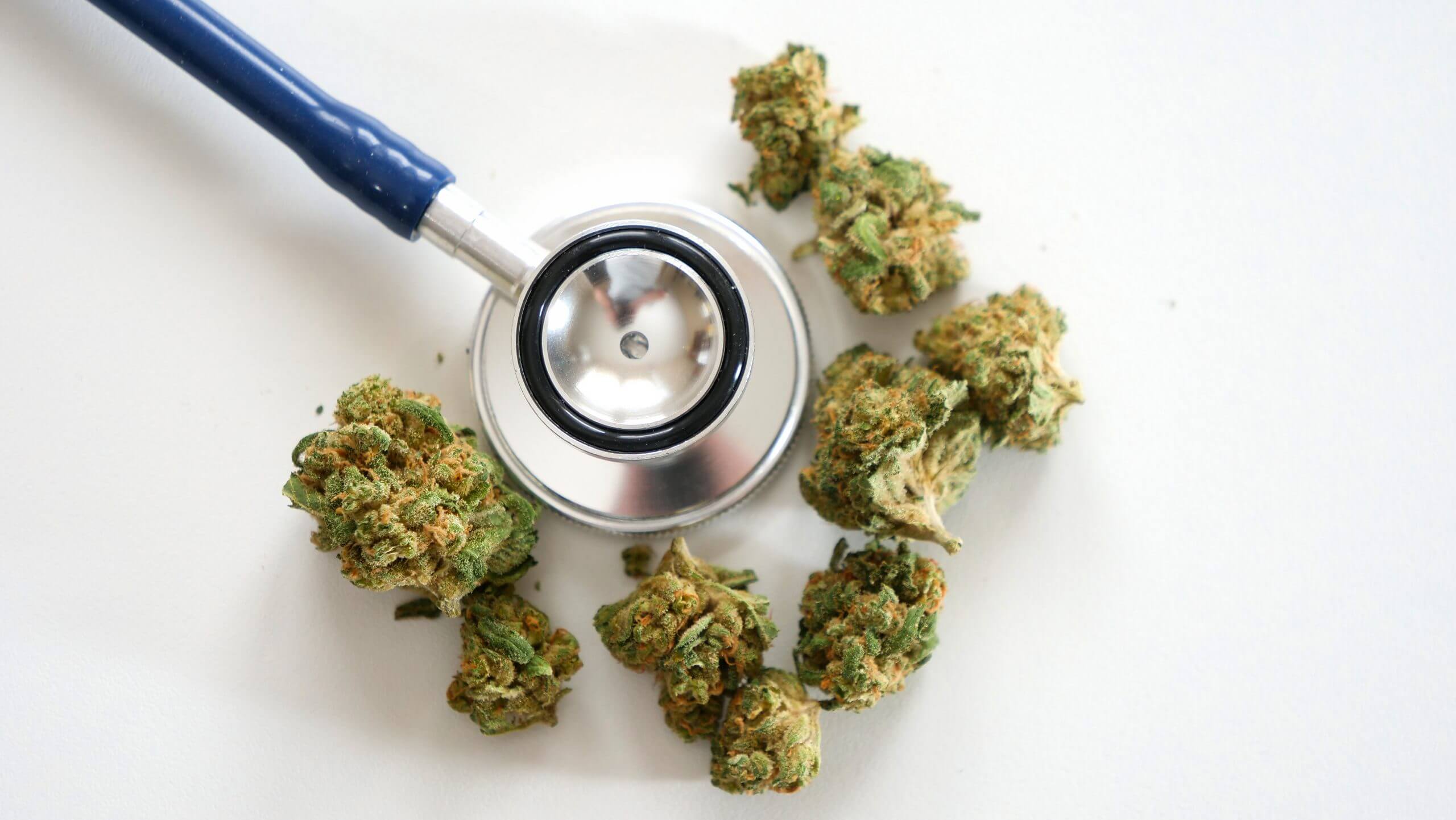 The True Difference Between Indica and Sativa Strains of Medicinal Marijuana