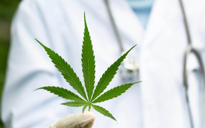 How DocMJ Can Help You Get a Medical Marijuana Recommendation