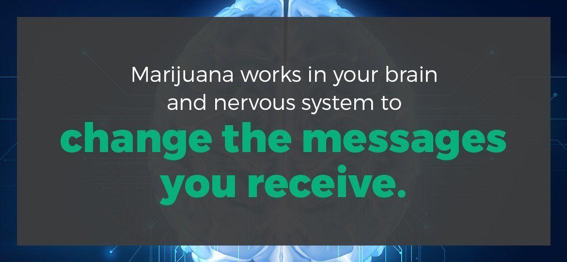 how medical marijuana works