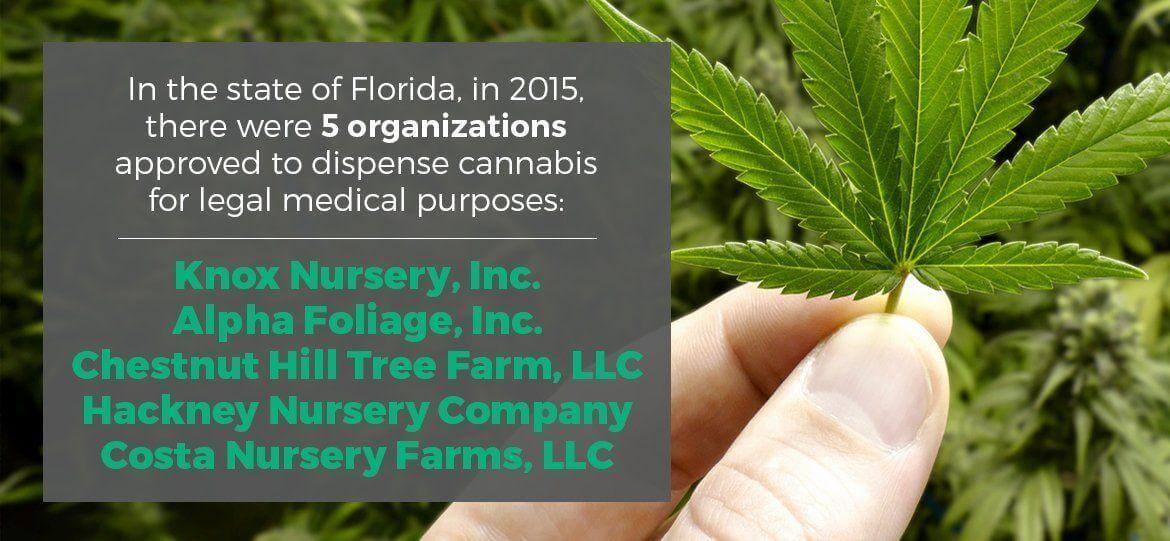 Florida Dispensaries