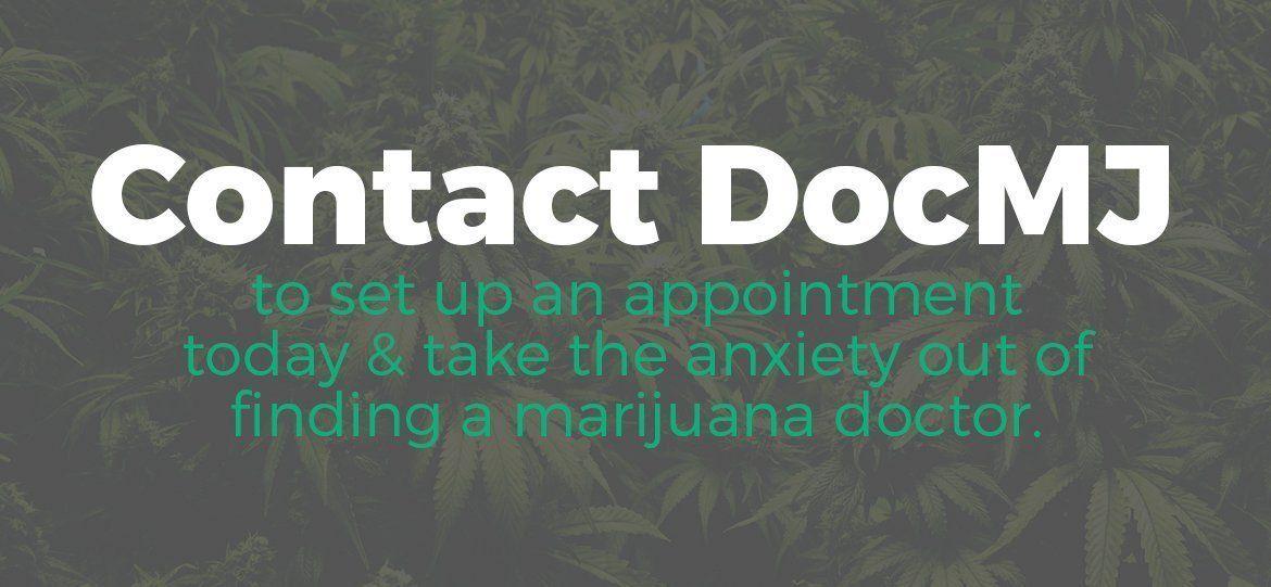 Contact DocMJ