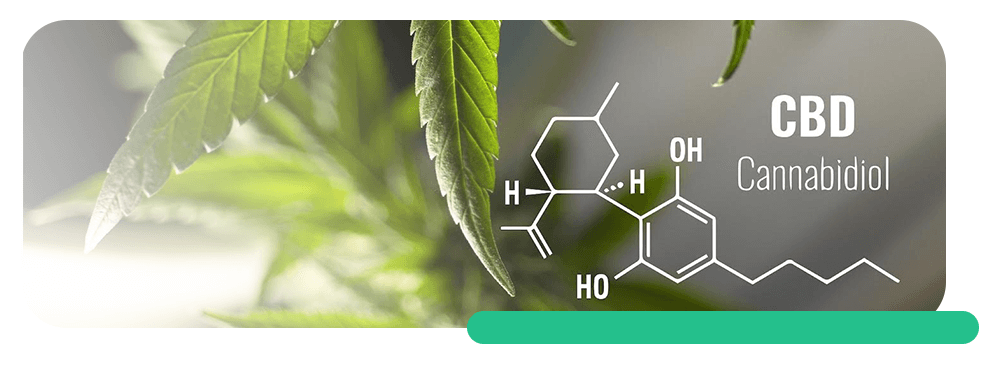 What are the Differences Between Medical and Recreational Marijuana Usage?