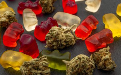Edibles in Texas: Everything You Need to Know