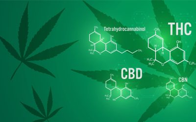 Understanding Your Ratios of THC and CBD |  What it all means.
