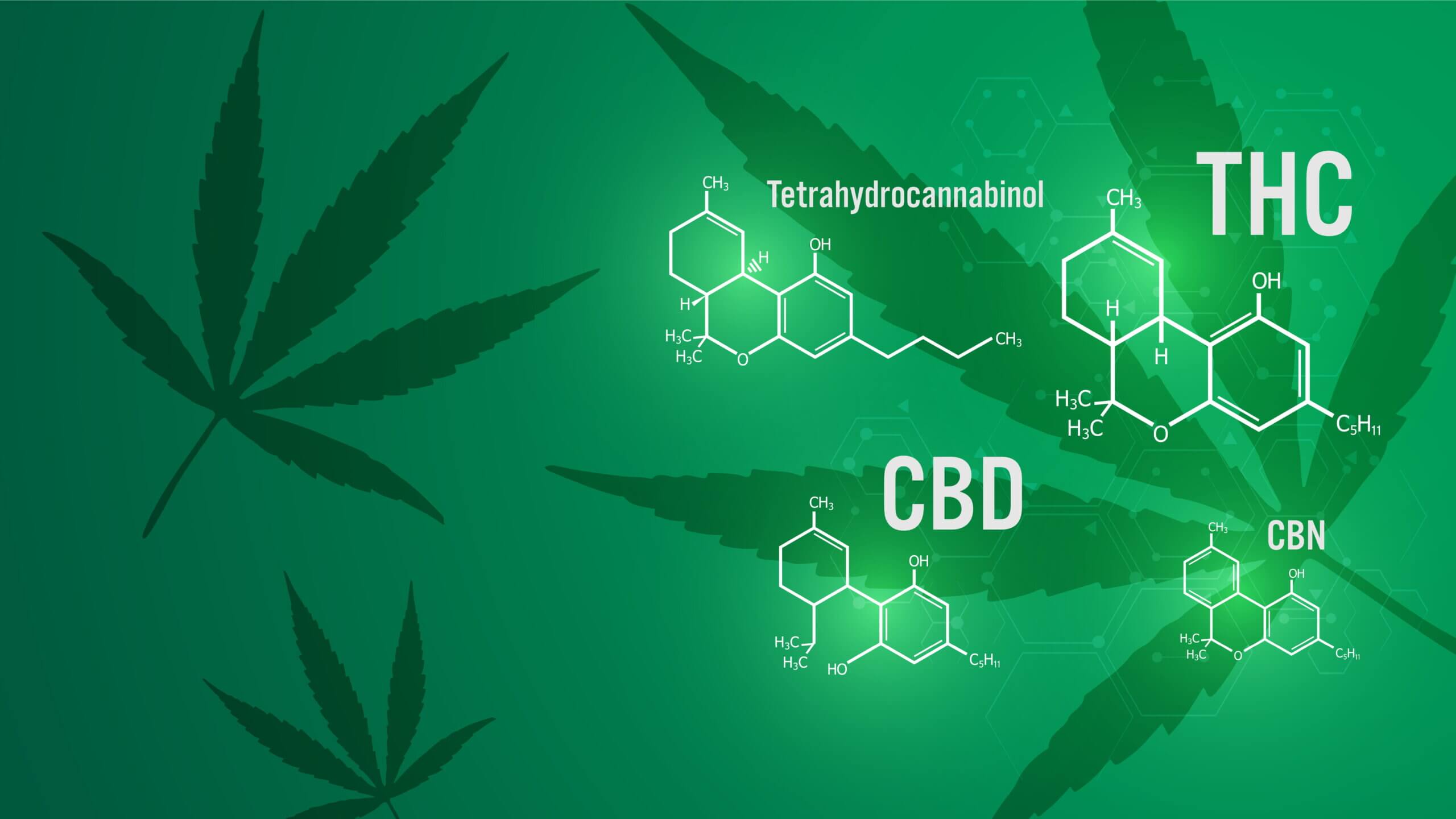 Understanding Your Ratios of THC and CBD |  What it all means.