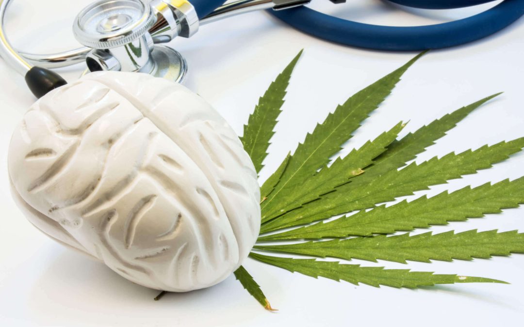 The Mental Health Conditions Where Medical Cannabis May Help
