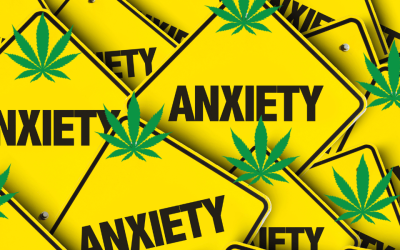 How Do I Use Marijuana for Anxiety in Texas?