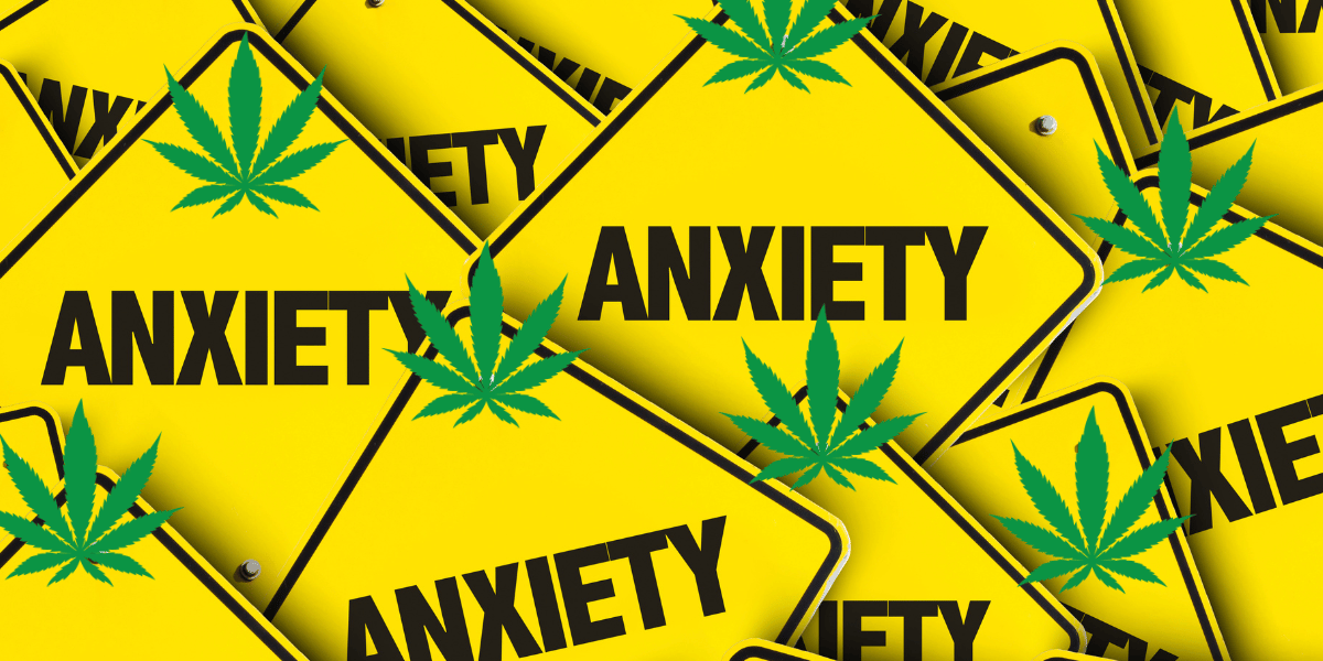 How Do I Use Marijuana for Anxiety in Texas?
