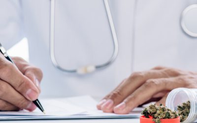 Are There Recreational Dispensaries in Florida?