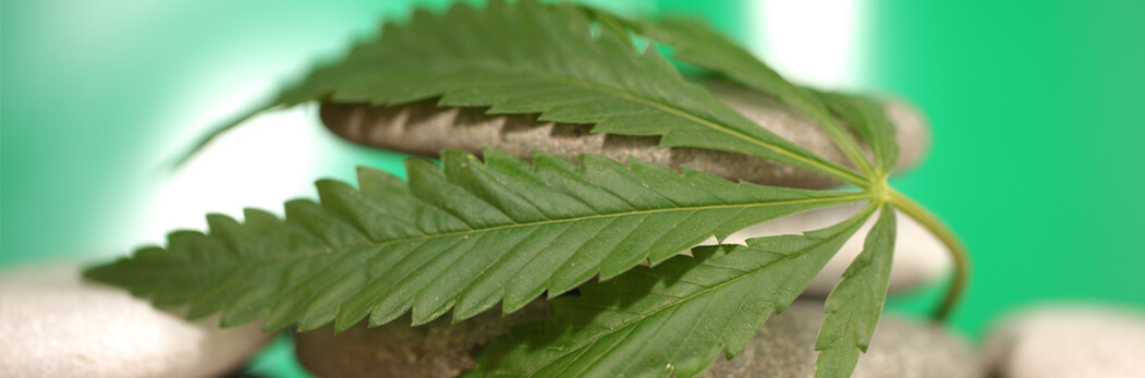 Combining Cannabis & Yoga