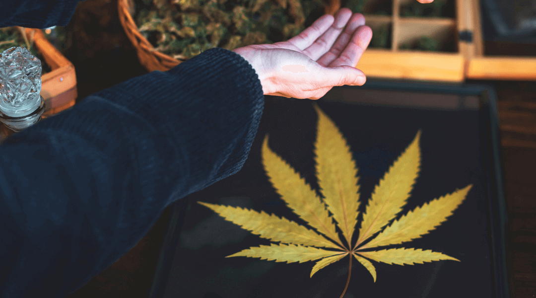 7 New Strains of Medical Cannabis to Try