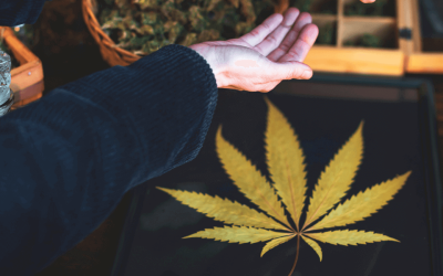 7 New Strains of Medical Cannabis to Try
