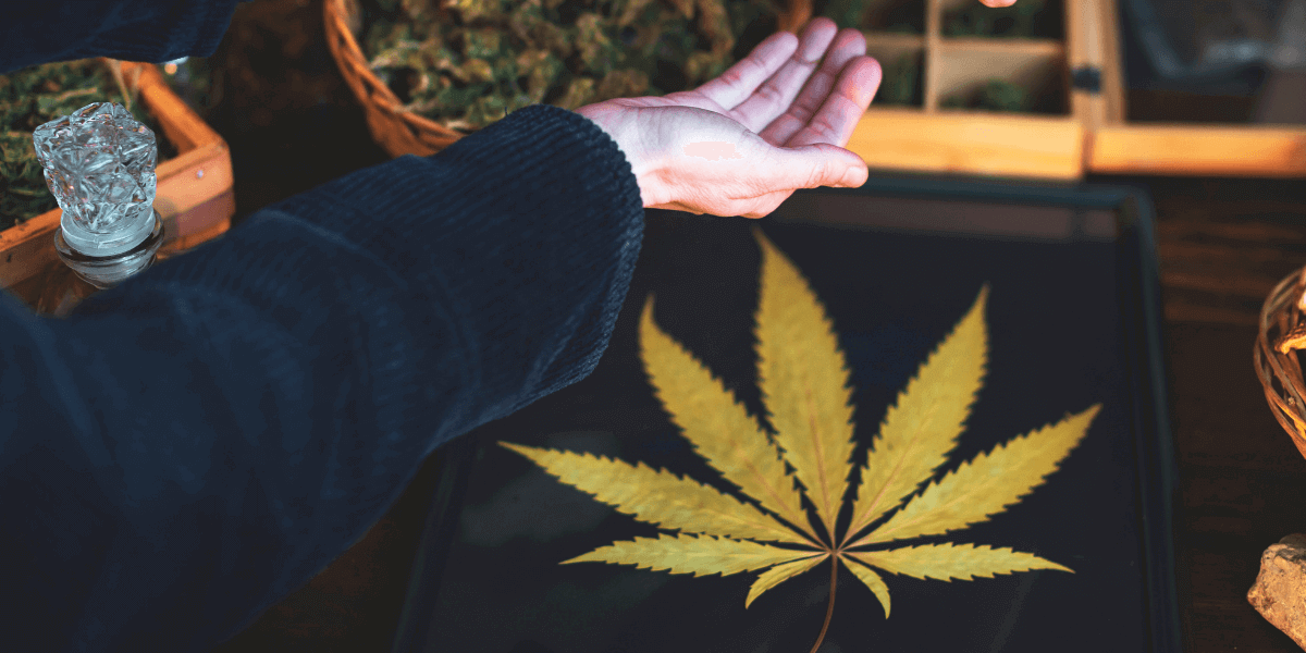 7 New Strains of Medical Cannabis to Try