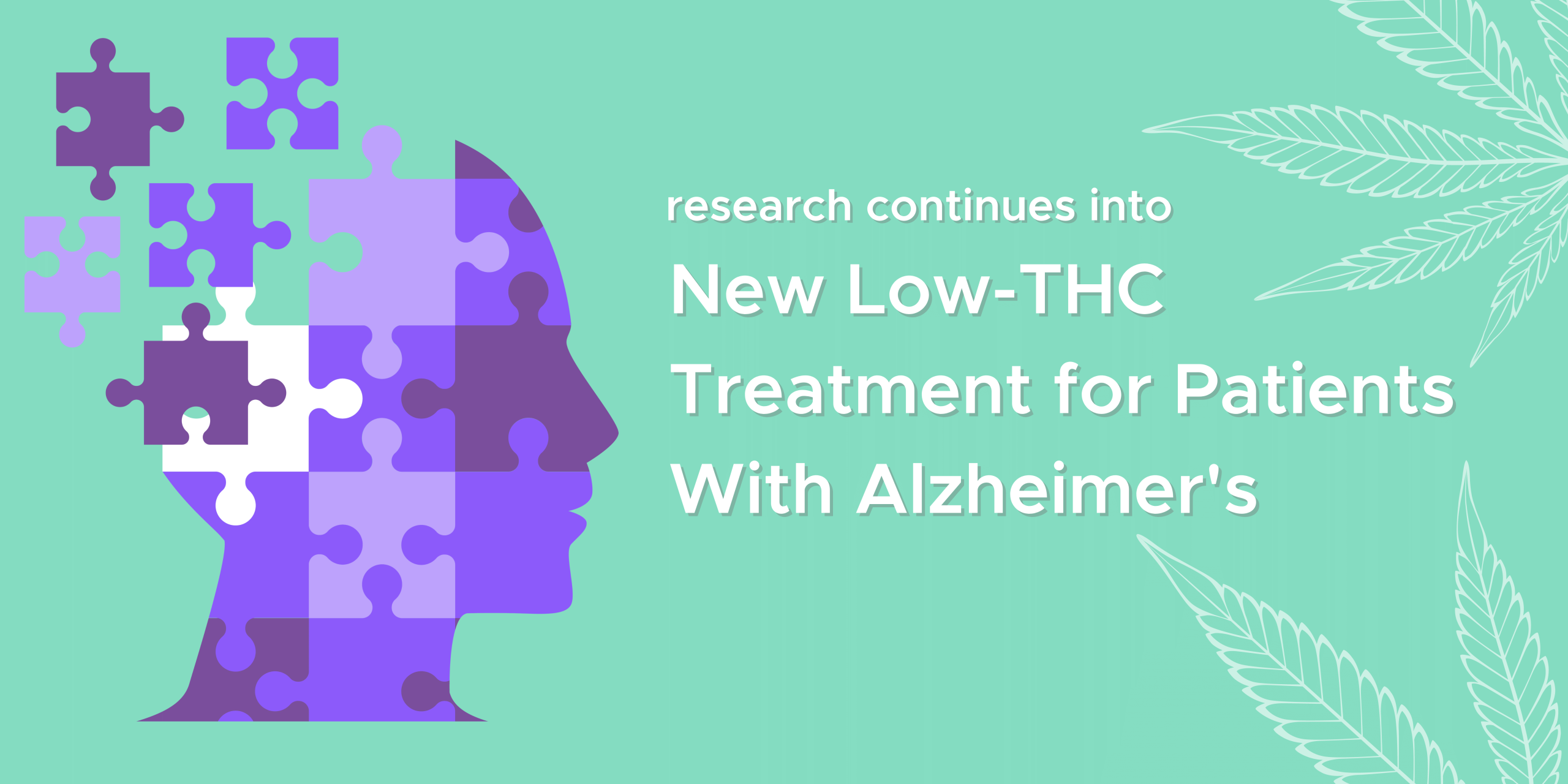 Can Low-Dose THC Help Treat Alzheimer’s? New USF Patent Suggests It Might