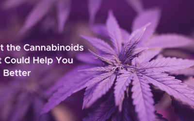 What Beneficial Compounds Are Present in Hemp? 
