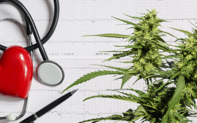 Can Weed Make Your Heart Beat Fast?