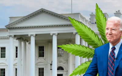 President Biden’s Pardon for Cannabis Convictions