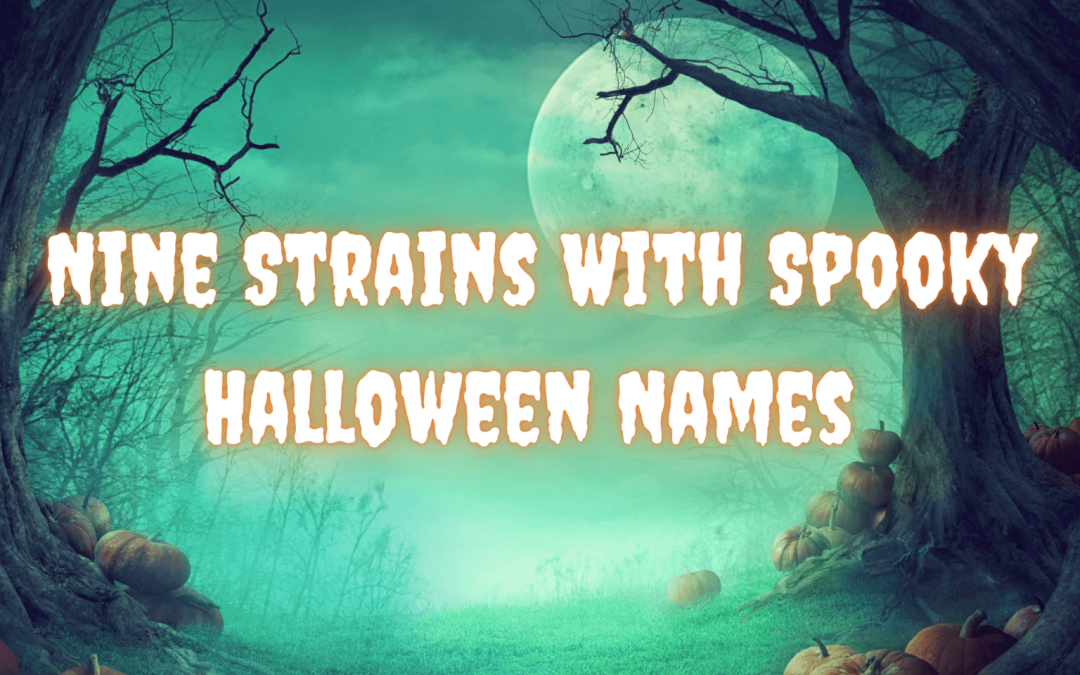 Spooky Strain Names for Halloween 