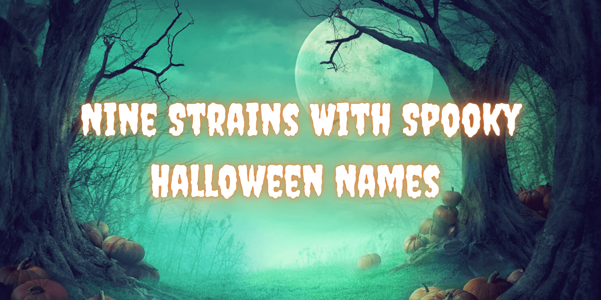 Spooky Strain Names for Halloween 