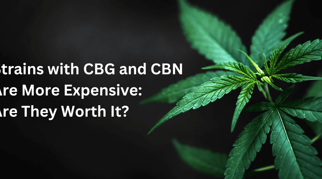 Strains With CBG & CBN Are More Expensive, But Are They Worth It?