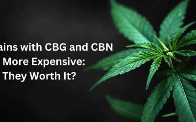 Strains With CBG & CBN Are More Expensive, But Are They Worth It?