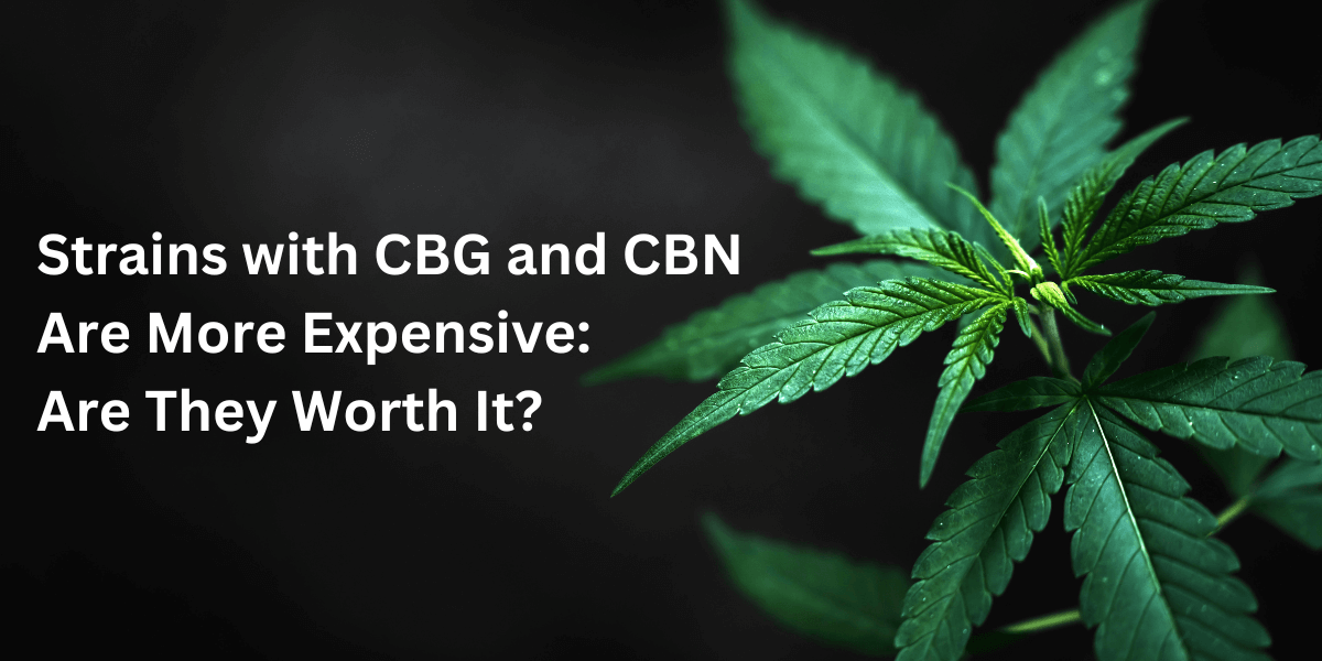Strains With CBG & CBN Are More Expensive, But Are They Worth It?