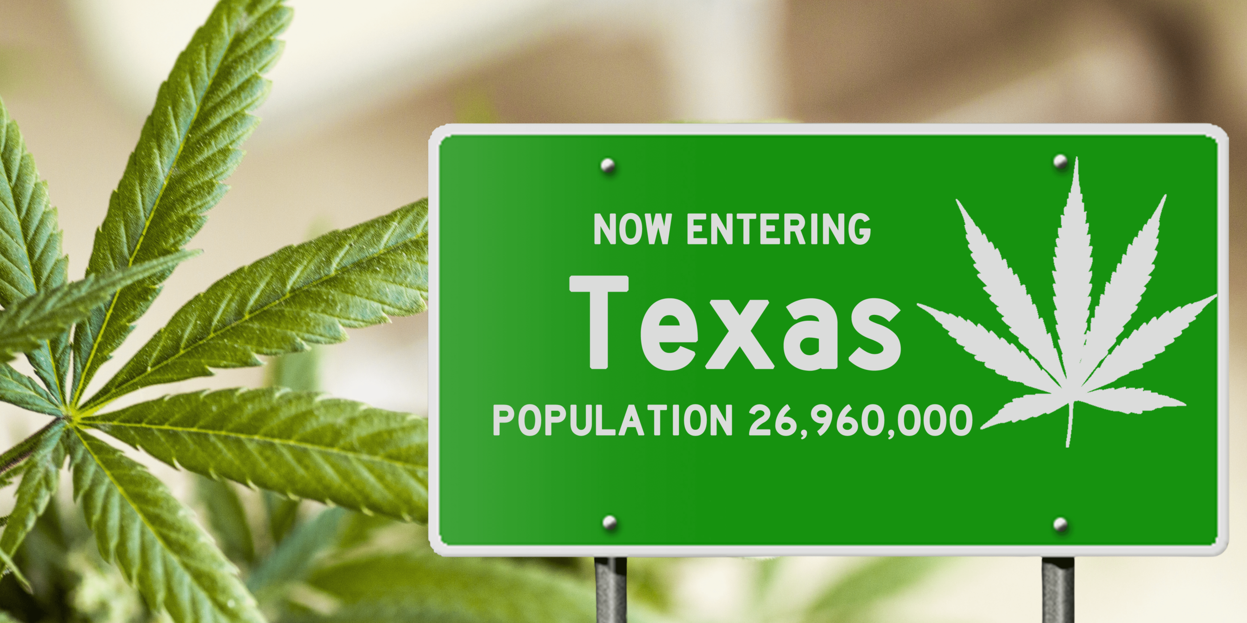 Will Texas See Medical Cannabis Expansion in 2023?