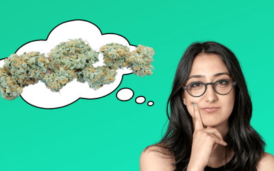 Types of Cannabis Weed and Strains