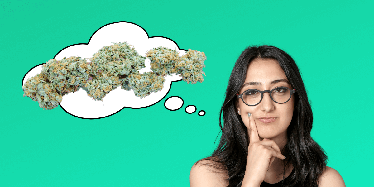 Types of Cannabis Weed and Strains