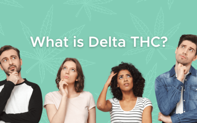 What is Delta THC?