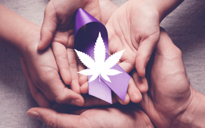 Cannabis for Patients With Epilepsy