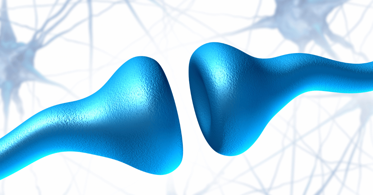 cannabis brain neurons endocannabinoid system