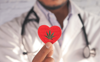 Top 4 Cannabis Health Studies of 2022