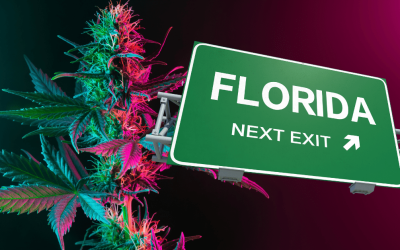 12 Popular Strains of Medical Cannabis in Florida