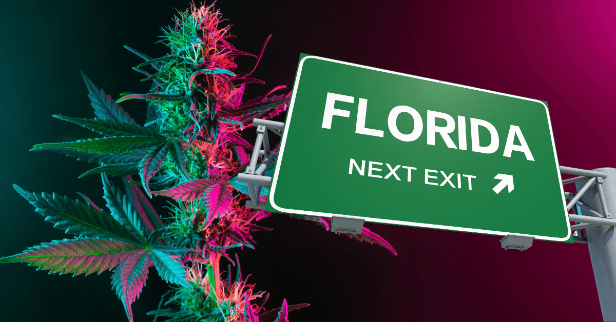 12 Popular Strains of Medical Cannabis in Florida