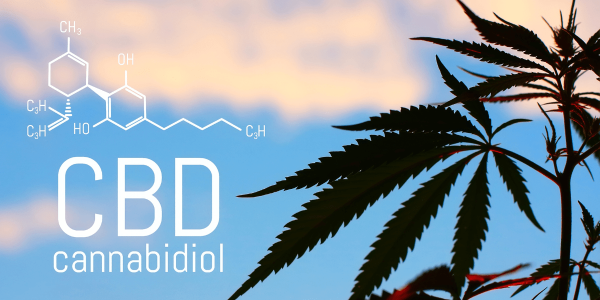 cbd
