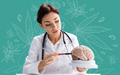 Is Weed Bad for Your Brain